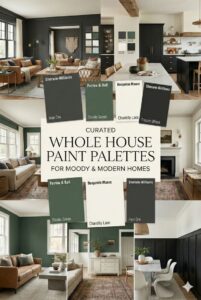 Moody Modern Color Harmony Palettes 🎨
